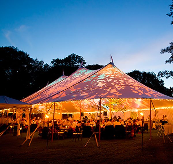 reception/mariage